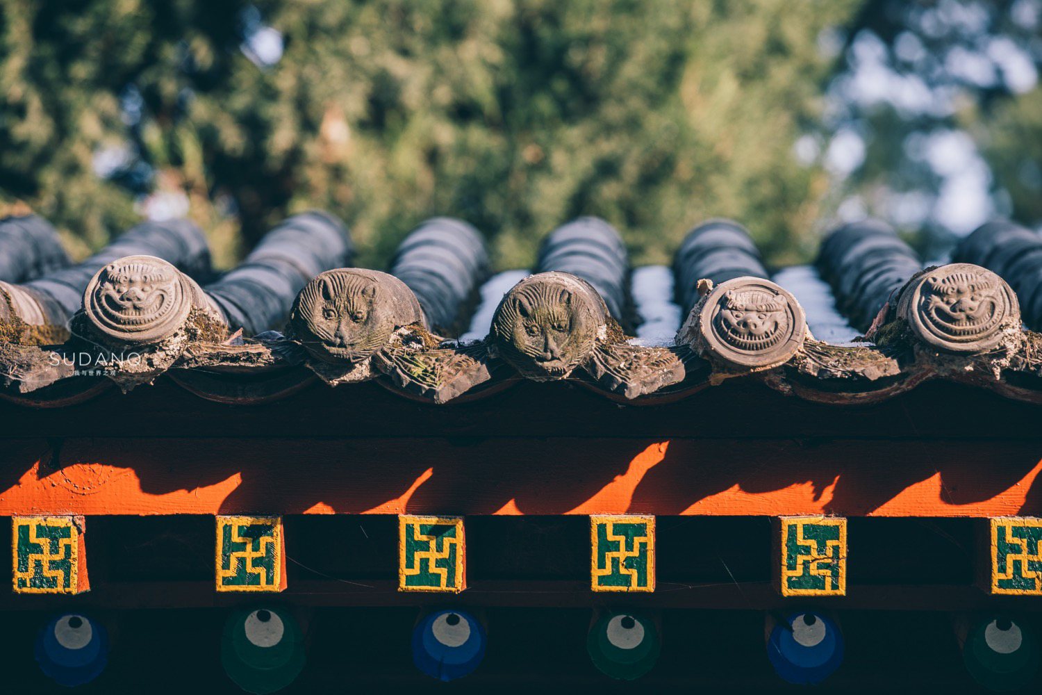 西安这座古寺鲜为人知:西域高僧穿过河西走廊,建立首个译经场 西安这座古寺鲜为人知:西域高僧穿过河西走廊,建立首个译经场