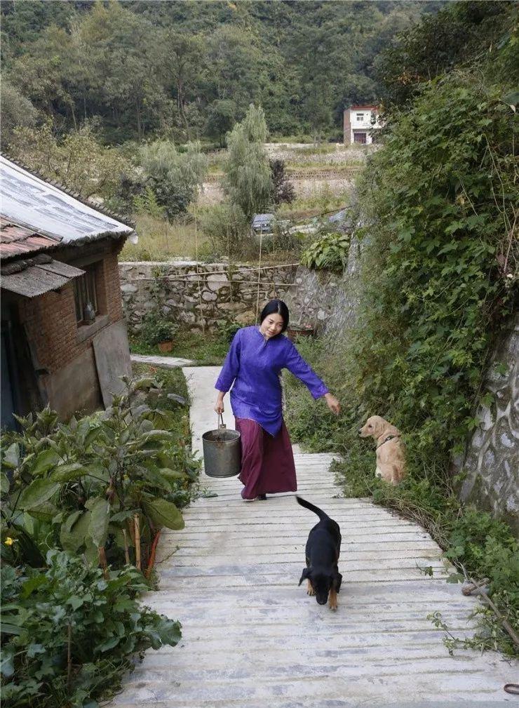 也引起了很大的关注一对西安80后夫妻隐居终南山开医馆的故事曾经只能