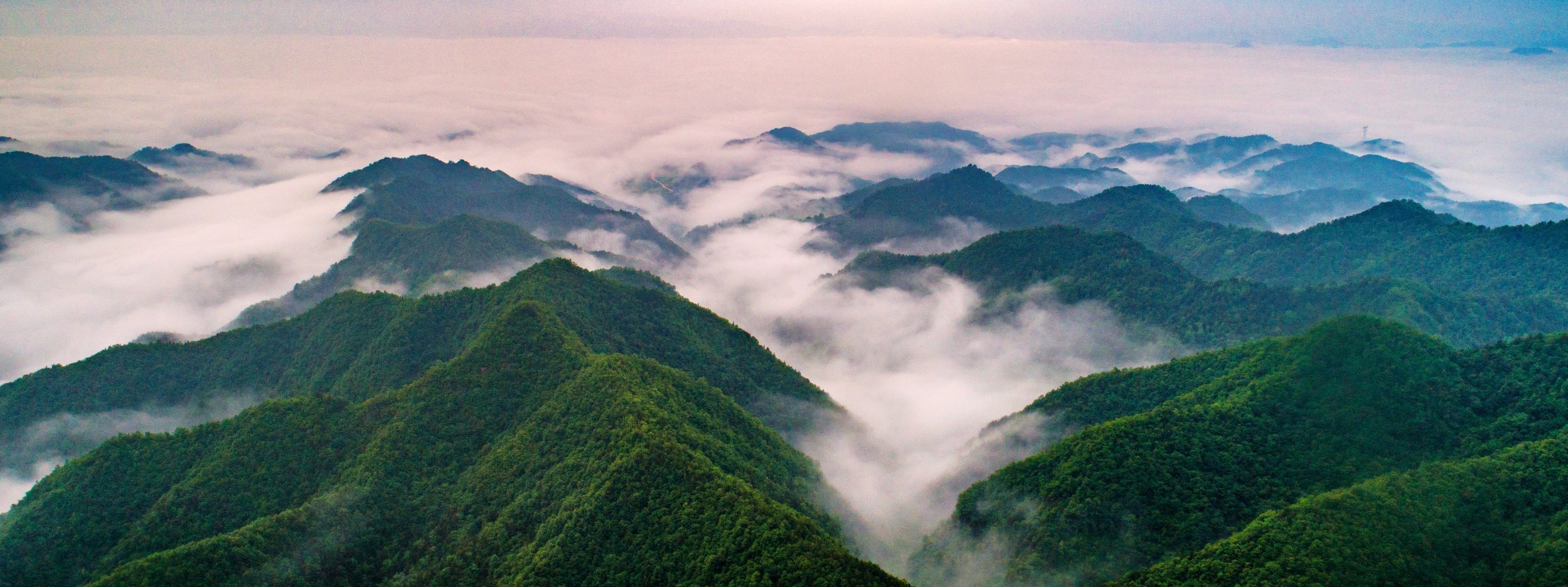 春季的秦岭江山景区,成了一片绿色的海洋,鸟语花香一片生机盎然