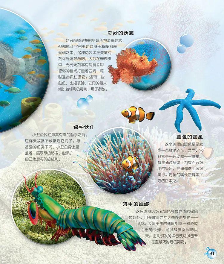 海洋保护：共建地球家园的绿色纽带