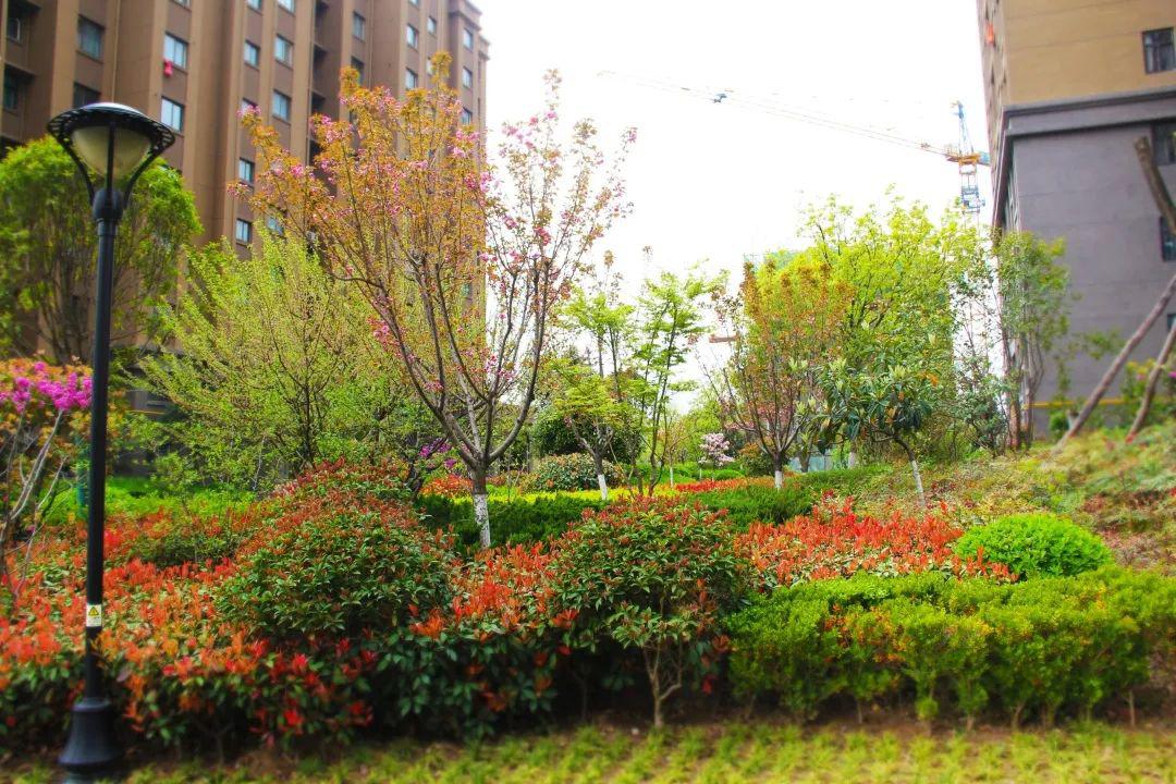 九悦香都园林式居住小区定格幸福人居