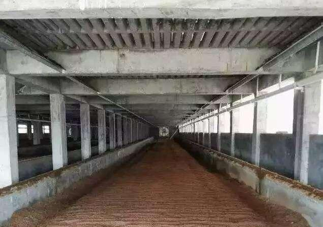 规模化养殖场中的高床养猪系统!