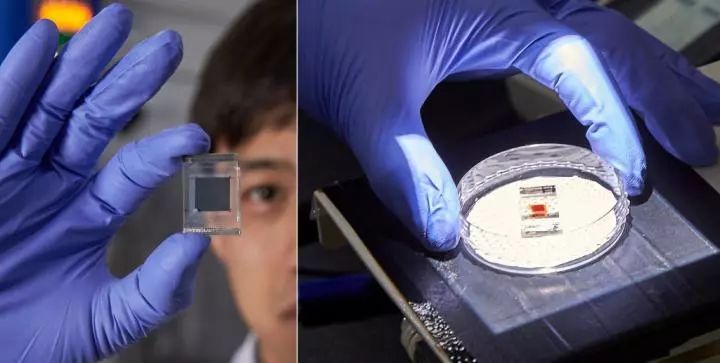 是在研究太阳能电池中使用钙钛矿所取得的,但是它们也非常适合制造led