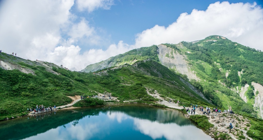 原油暴跌给家电产业带来一场“意外收获”-家电圈官网