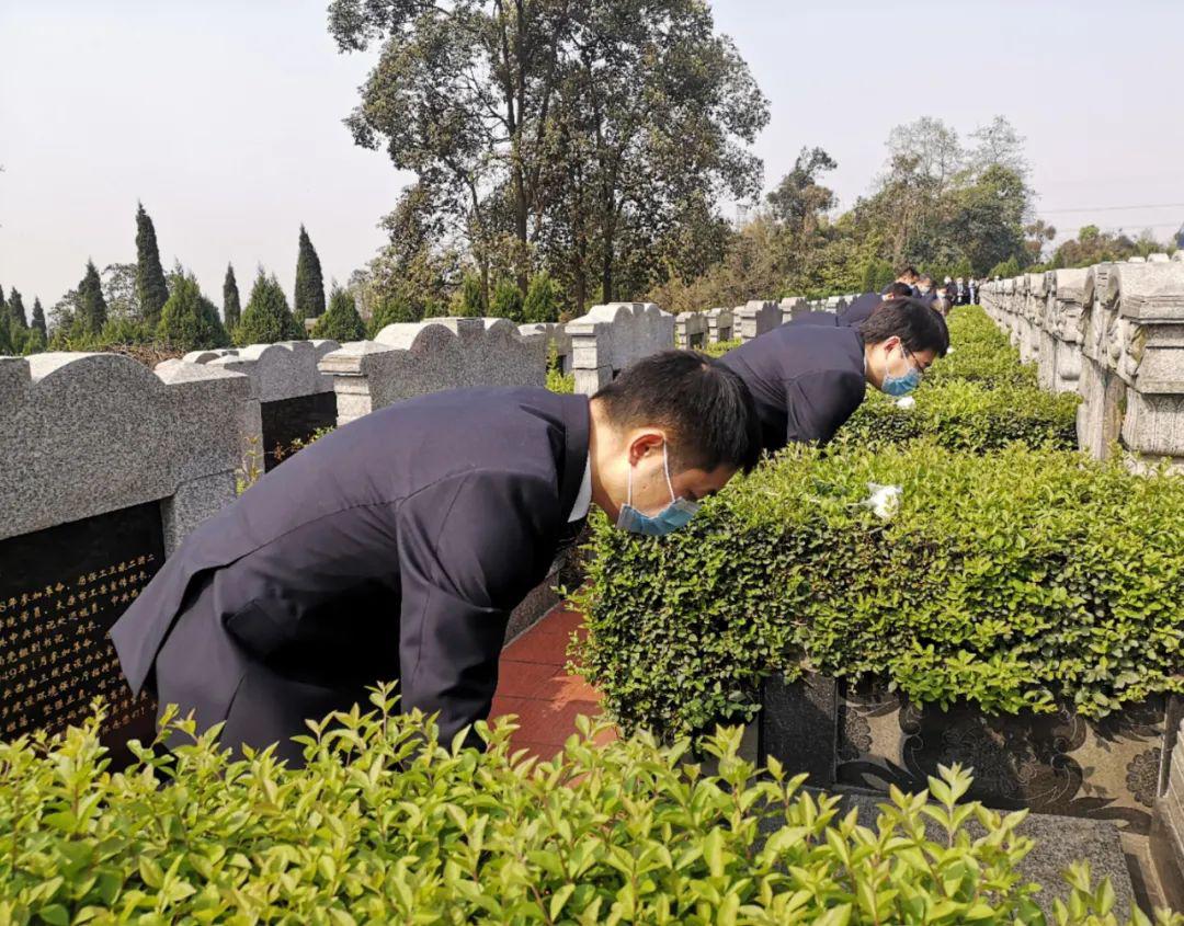 清明节扫墓过程图片