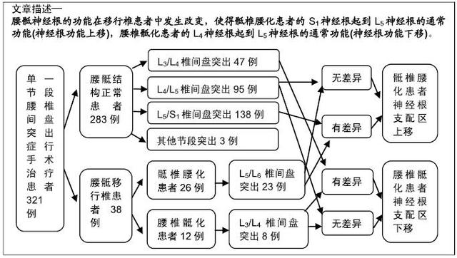 合并移行椎腰椎间盘突出症患者腰骶神经根支配区的变化