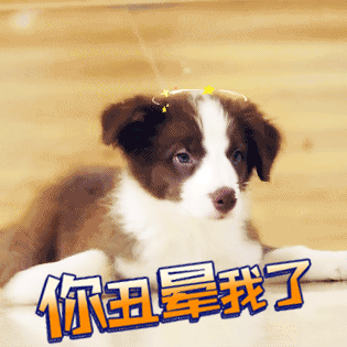 炸鸡洞洞鞋什么鬼看了奢侈品迷惑行为大赏我瞎了