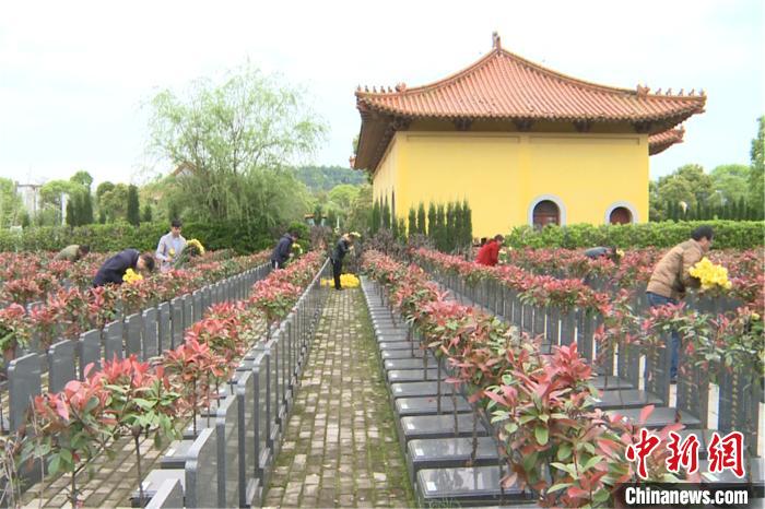图为清明节前夕, 江西南昌金安福园公墓工作人员为代客户祭扫亲人.