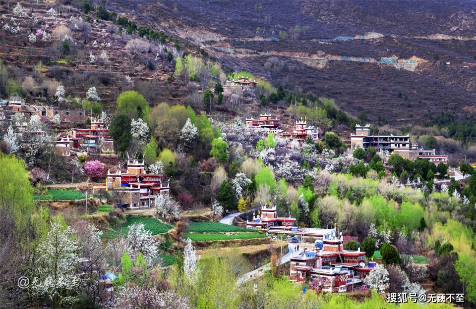 春回丹巴峡谷风荡甲居藏寨花惹衣香