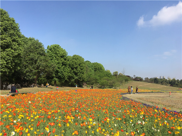 成都的后花园三圣乡农家乐在这里