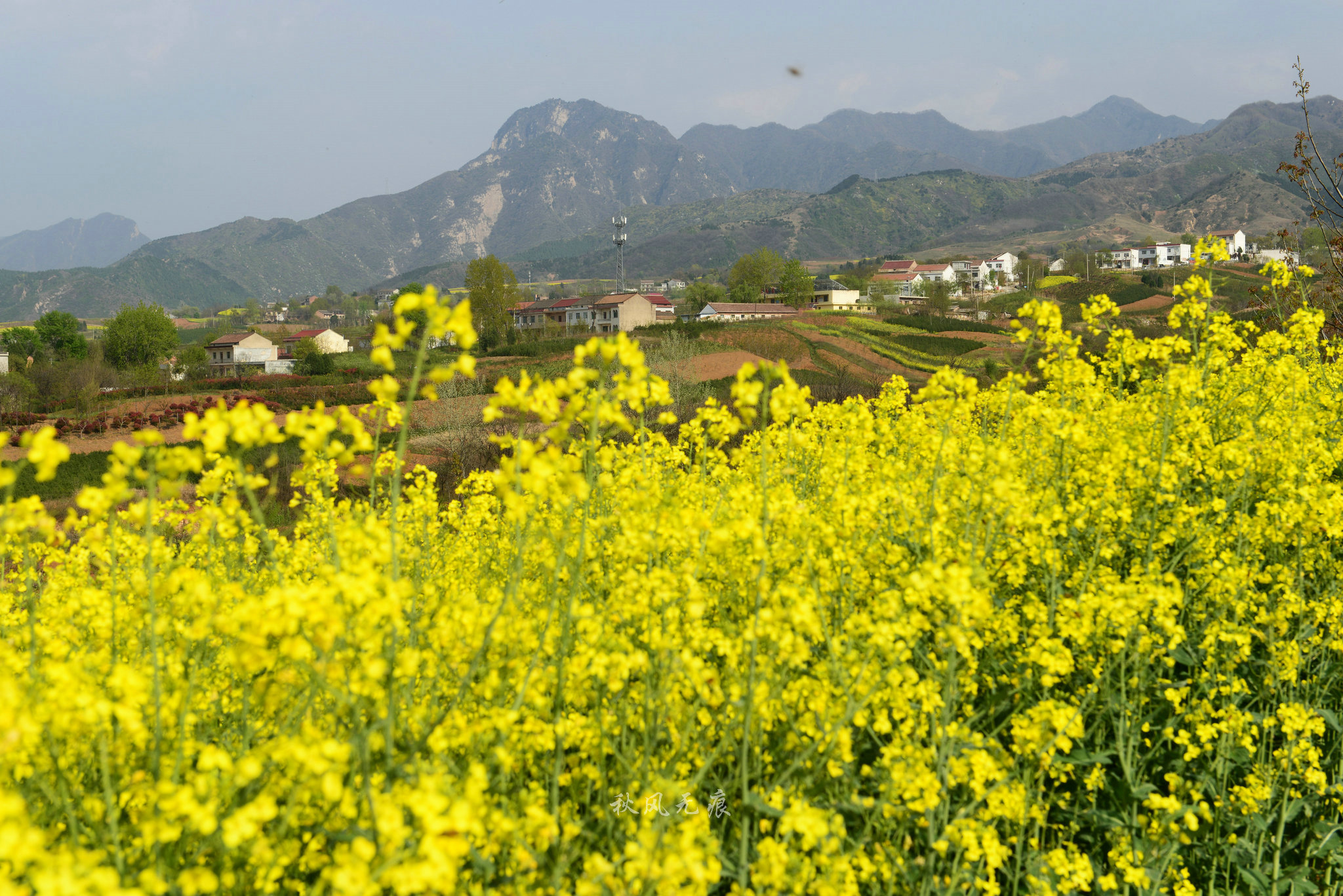 桐花沟景区图片