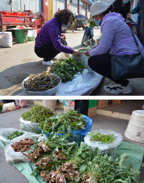 陆良街头野菜扎堆你吃了吗