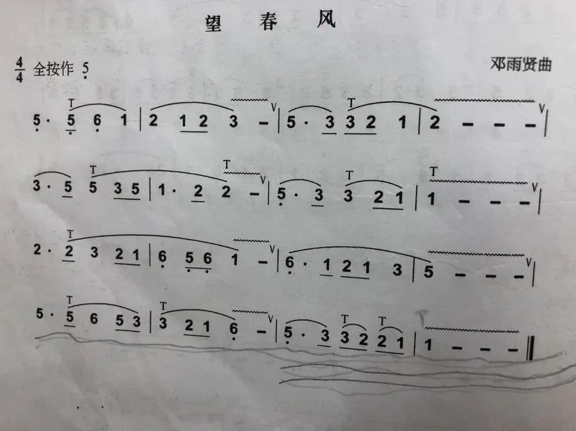 望春风笛子演奏图片