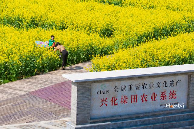 兴化简介图片图片