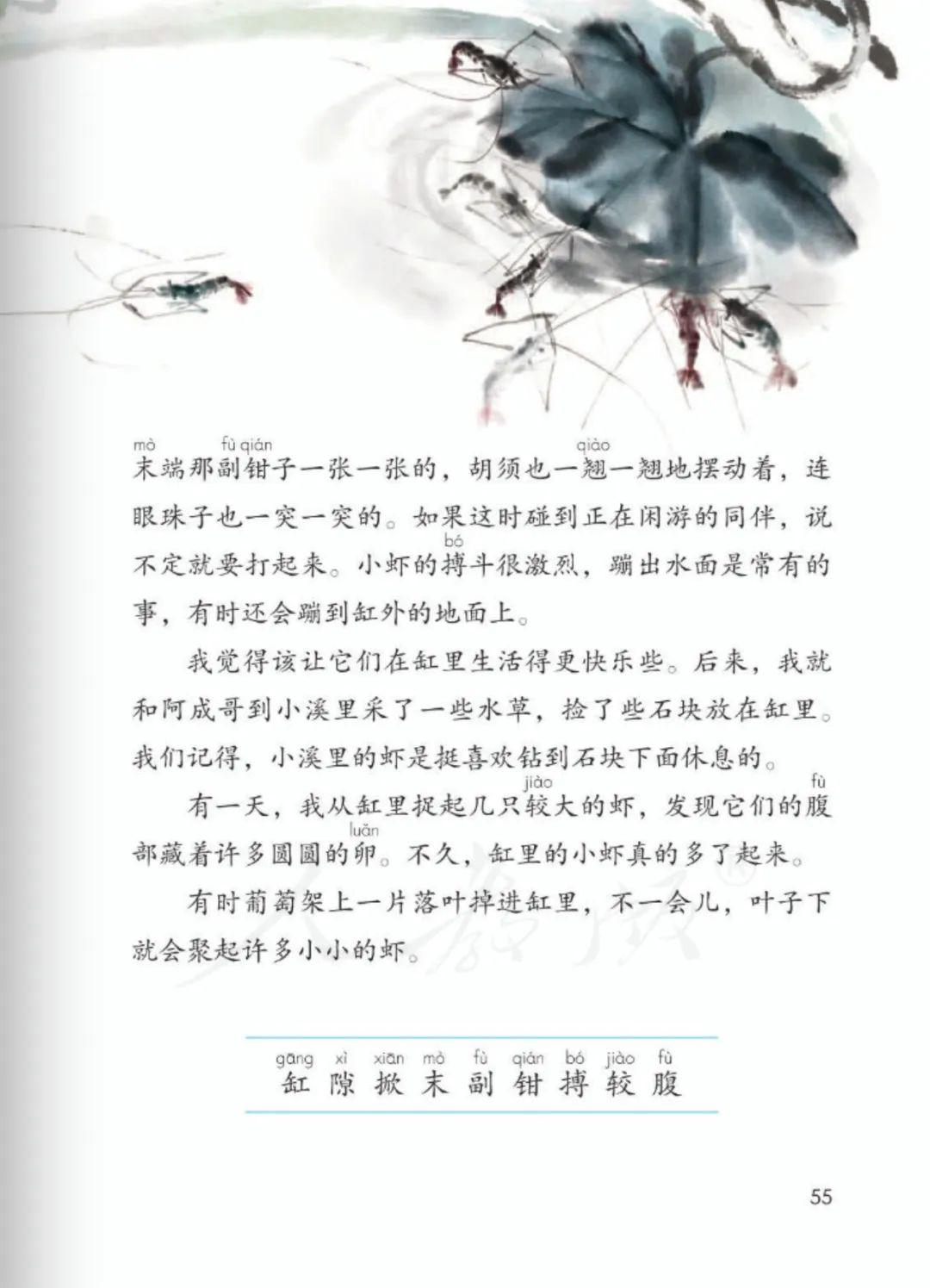 跟酸石榴叔叔朗读课文《小虾》|部编版小学语文三年级下册