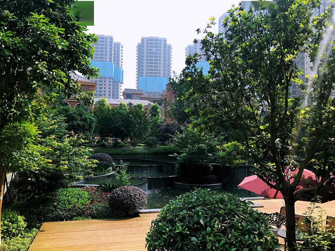 最美人间四月天 |衡阳春季风景大赏,这家楼盘的花开的真美!