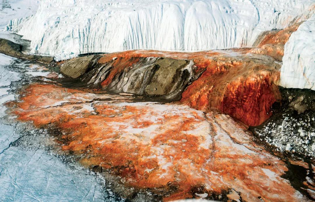 冰川之血豆瓣图片