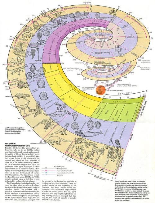地球的生命的时间表-家园生命系列1_历史