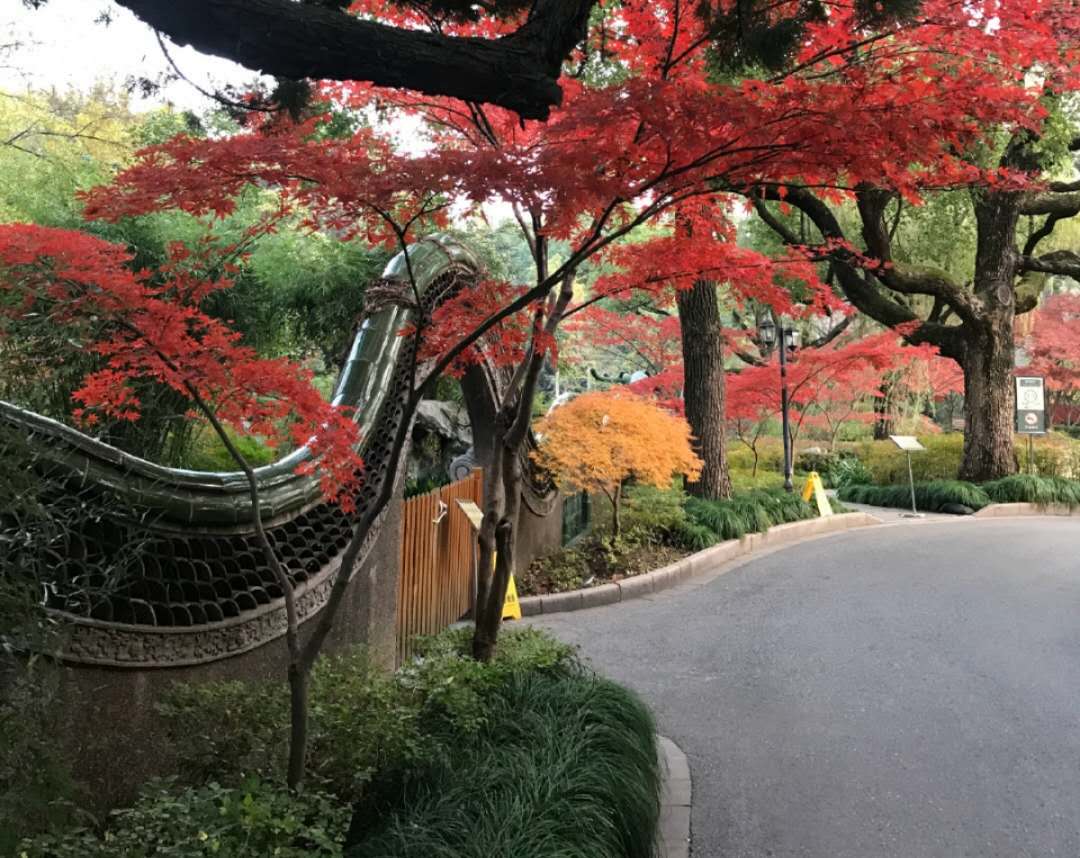 嘉道理住宅嘉道理住宅的原主人是英籍犹太人艾里·嘉道理,嘉道理住宅