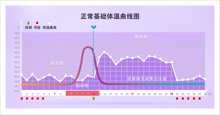 正常体温24小时曲线图片