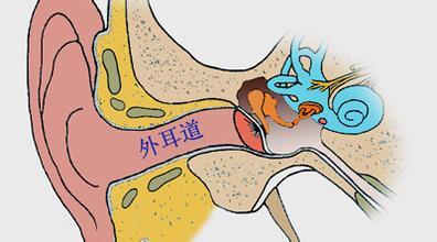 外耳炎主要由外部因素誘發形成