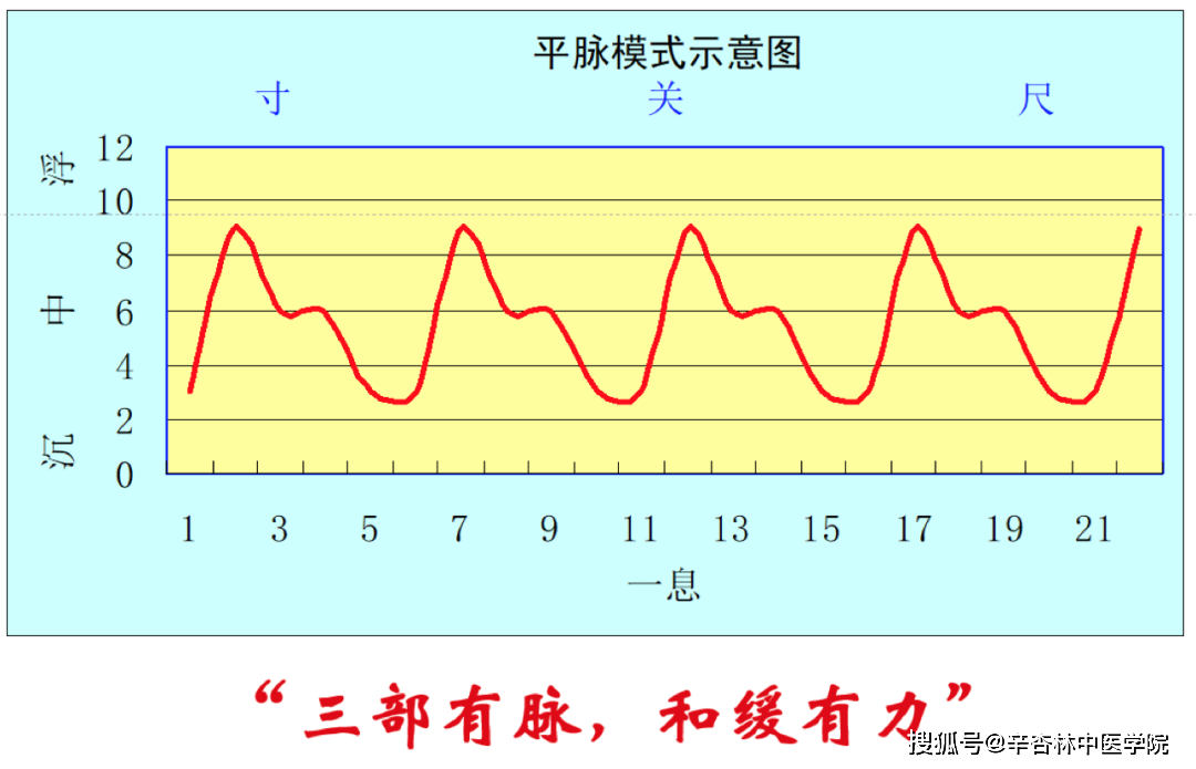 中医最全的动态脉诊图,学脉诊这篇文章就够了_脉象