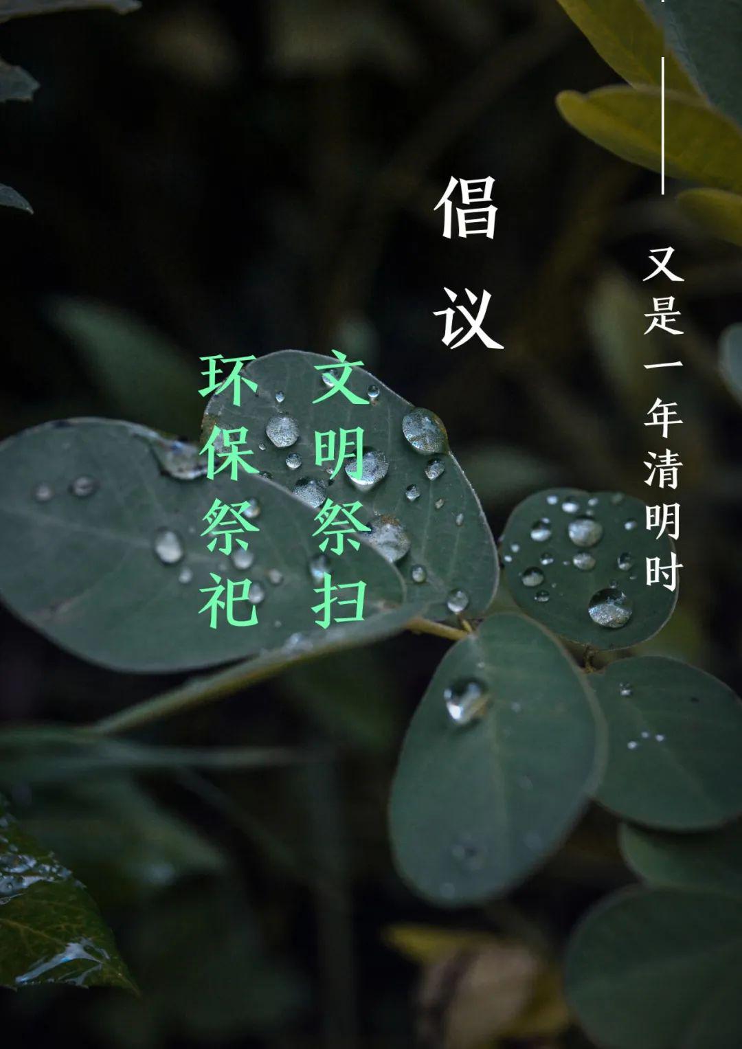 【又是一年清明时】 文明祭扫 环保祭祀