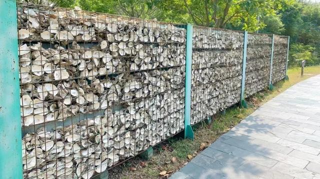 深圳闹市里的"动物园",藏了超原生态的自然风光!