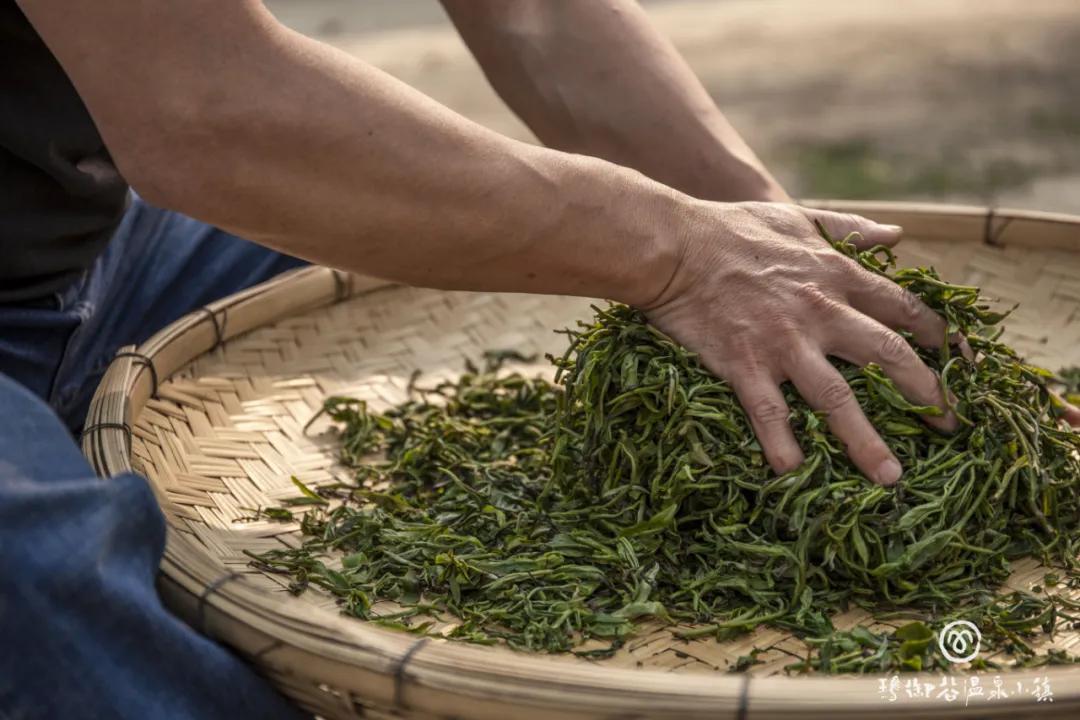 茶叶包捻图片,茶叶包装图片_大山谷图库