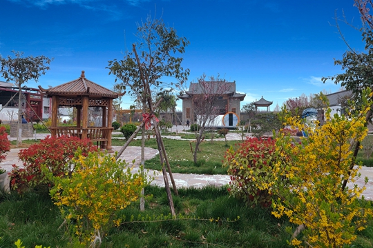 新郑市新村镇紧随春天的脚步建设绿色生态家园