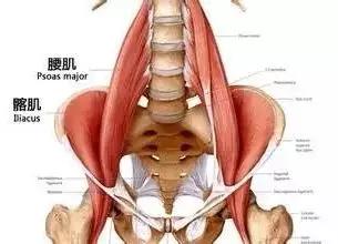 腰疼补肾肾虚症状只是表象本质可能腰部肌肉出现了损伤