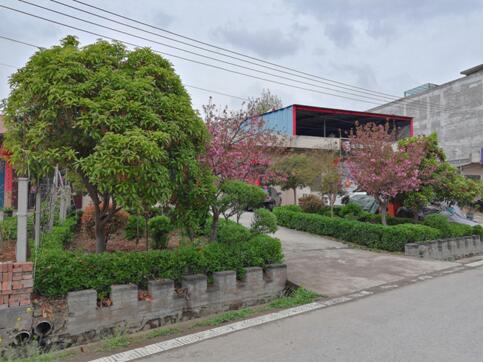 伊川县河滨街道村庄绿化留住发展底色
