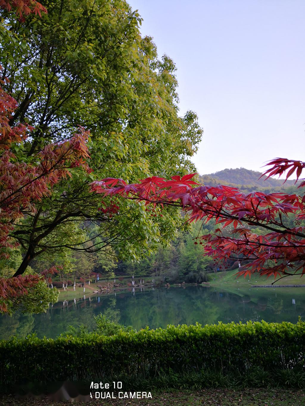 不去桃花岭,不知春天有多美_长沙