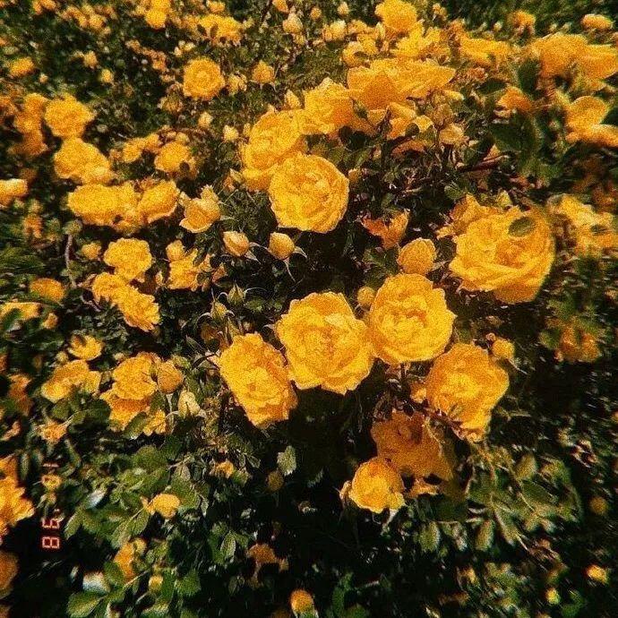 微信朋友圈背景图