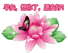 4月最新早上好祝福语动态图片鲜花带字非常漂亮的早上好祝福语图案