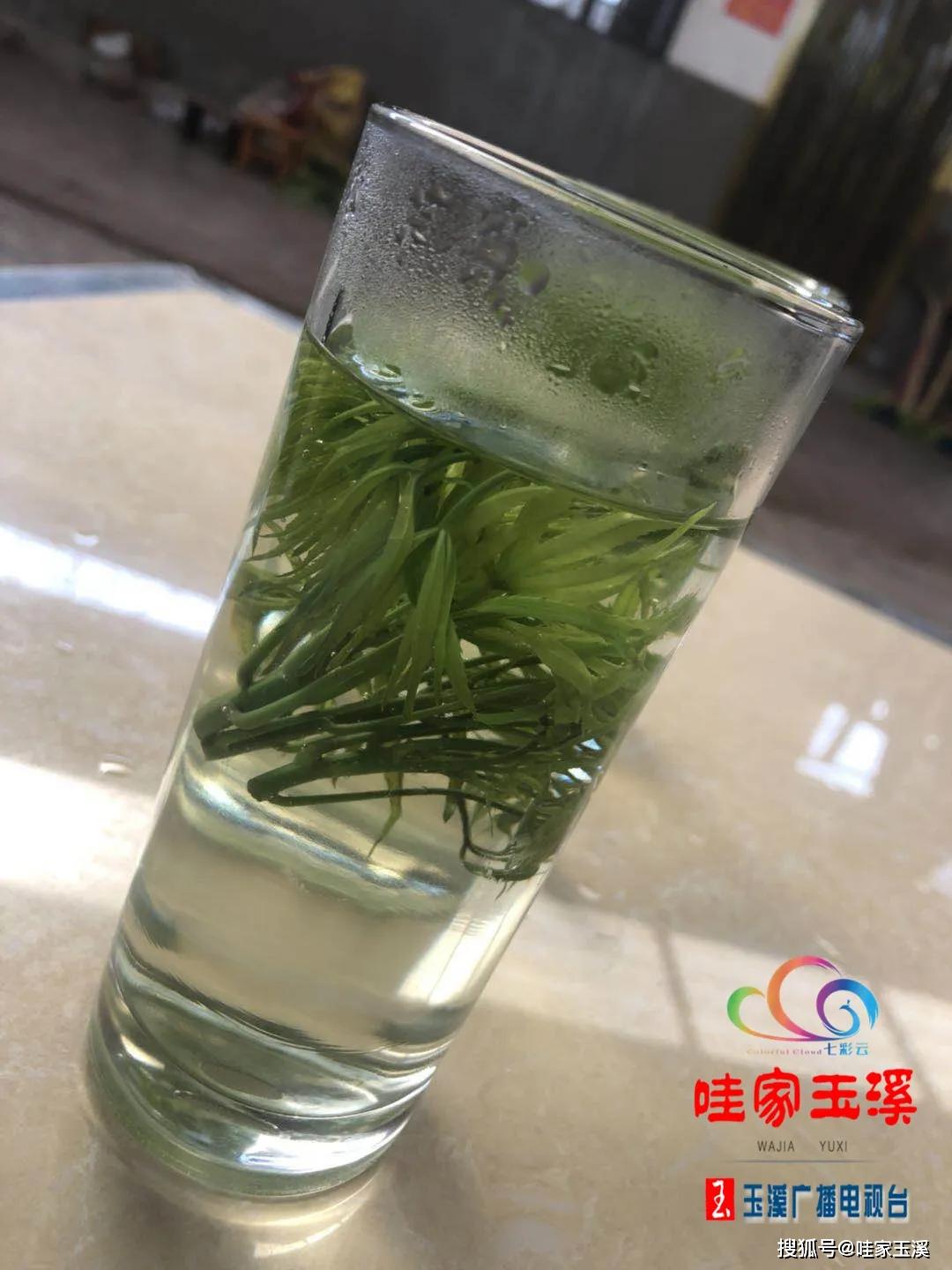 梁王茶飘香快把春天装进肚子里