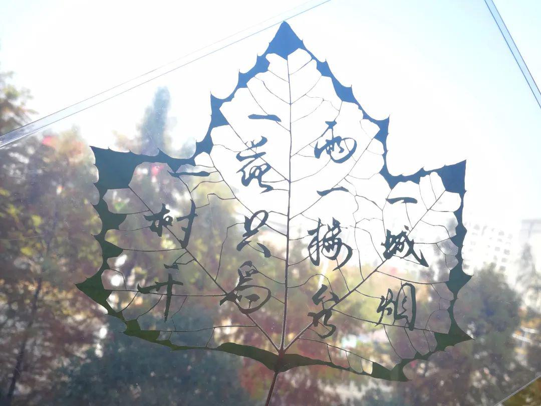 别出心裁淮工学子在树叶上刻字为中国加油