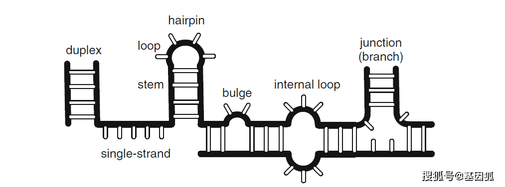 原創springer protocols | rna序列,結構和功能, 計算和生物信息學