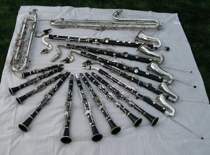 【志成·小先生】卢雨杉:管弦乐队中的演说家_单簧管