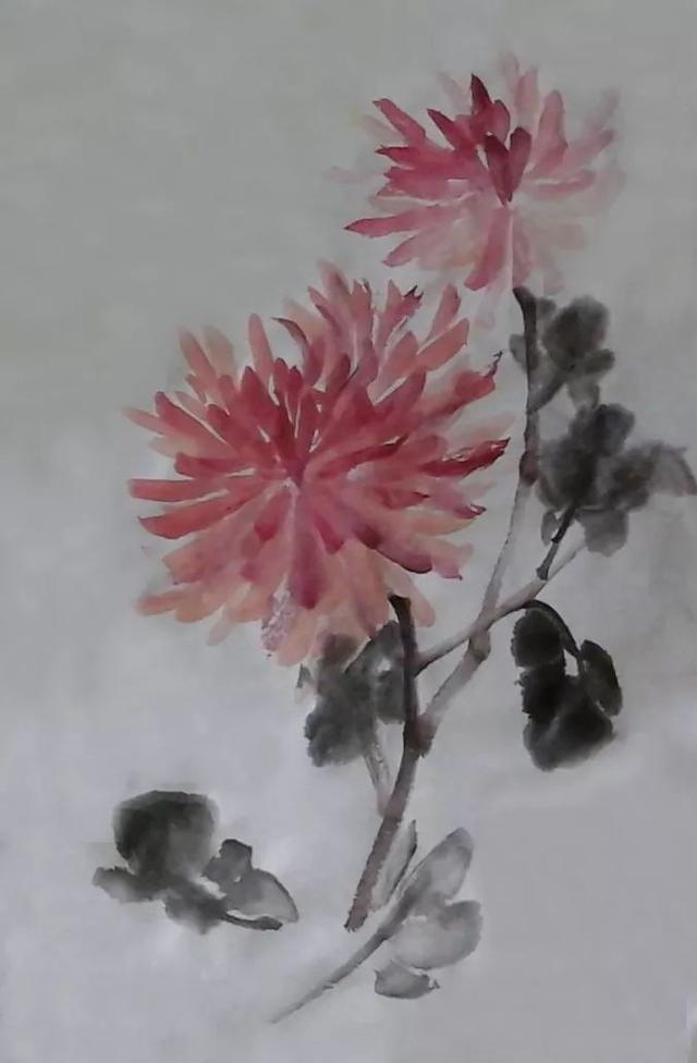 国画技法——写意菊花的画法