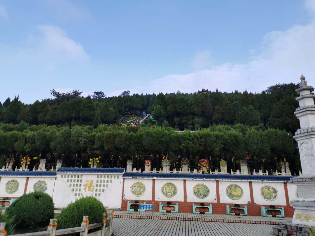 信阳市民政局积极动员志愿服务类 社会组织参与清明祭扫工作