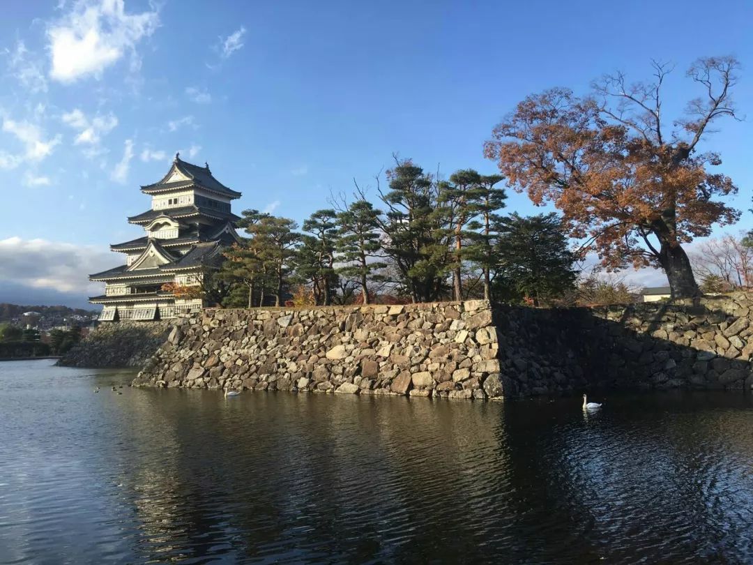 松本齿科大学图片