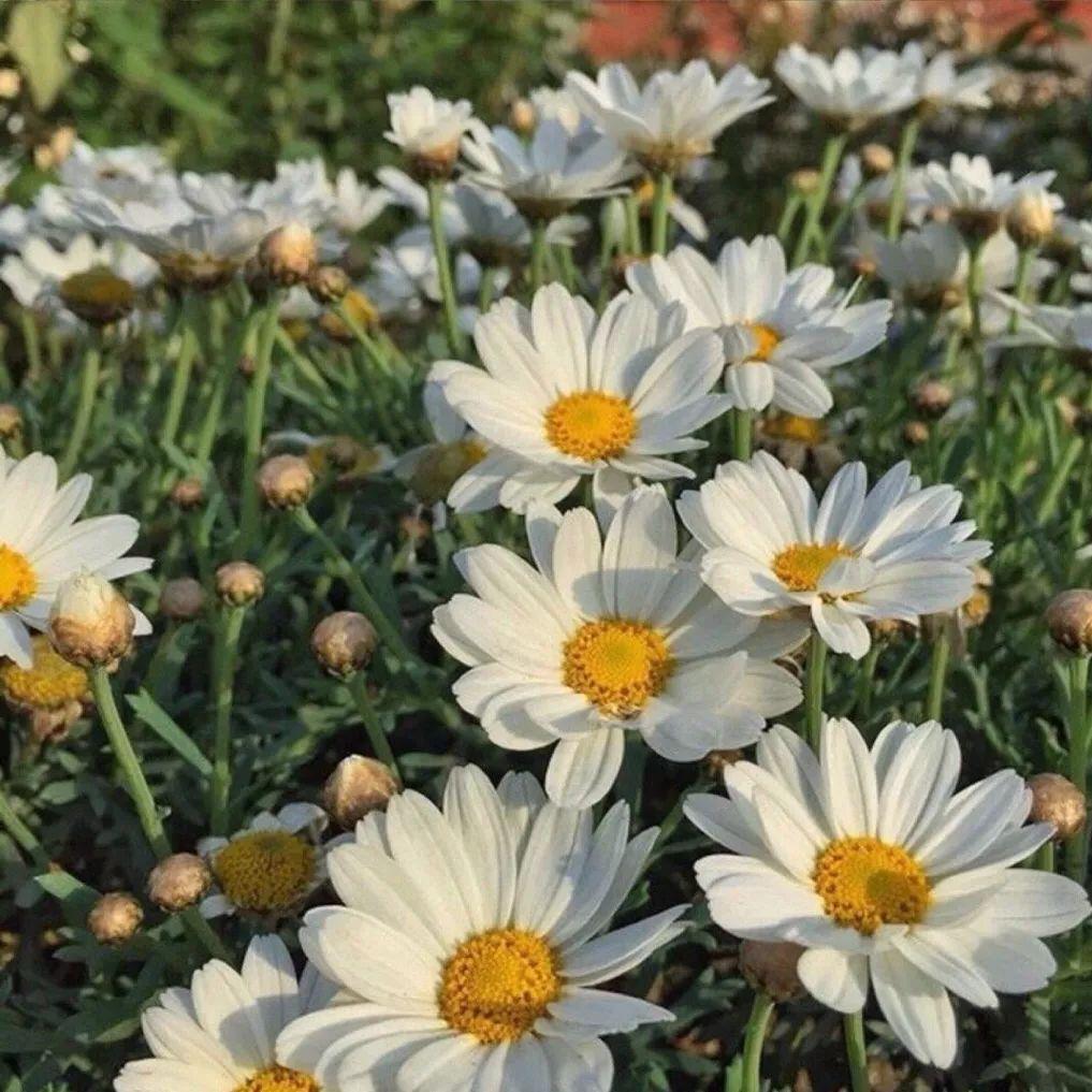 微信朋友圈背景图