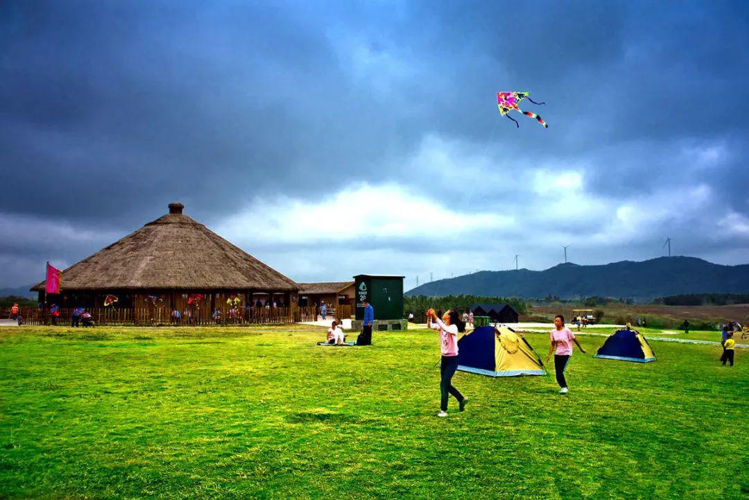 美景欣赏春游三瓜公社踏青郁金香高地