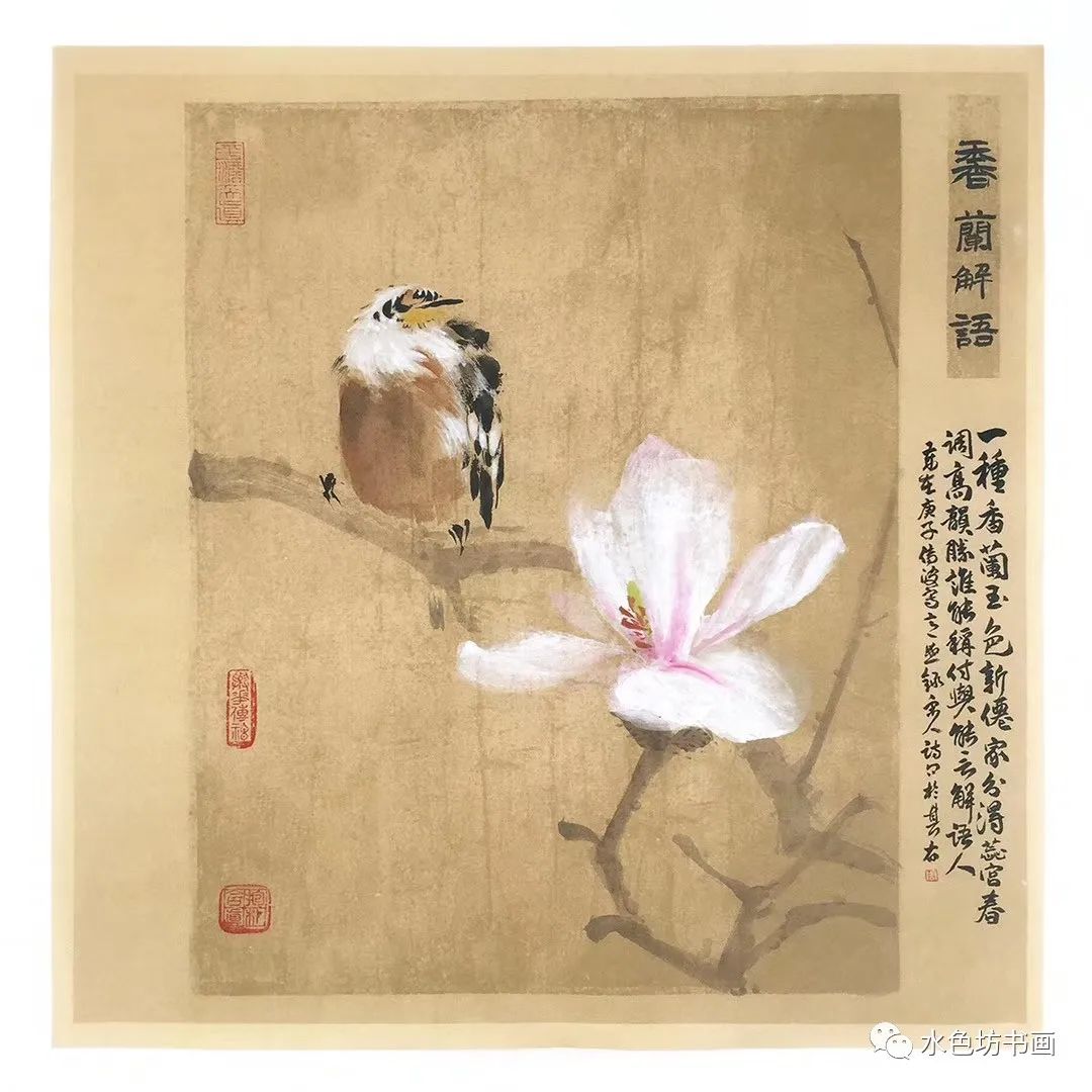 周传波老师的画风渐渐成为中国花鸟画中一股个性极为明显,风格极为