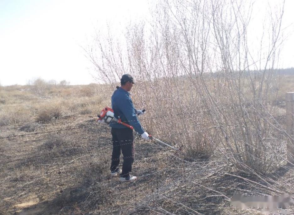 【生态扶贫| 第167期】中和西镇官井村:沙柳条成了农牧民的"金条条"