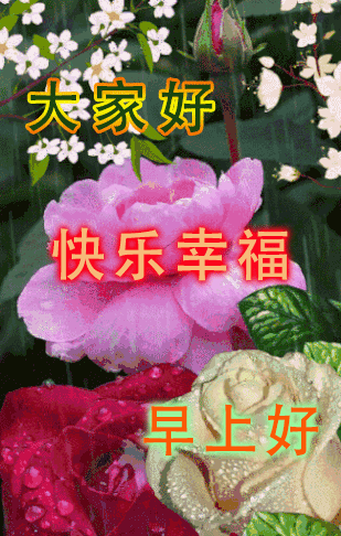 4月最新早上好祝福语动态图片鲜花带字非常漂亮的早上好祝福语图案