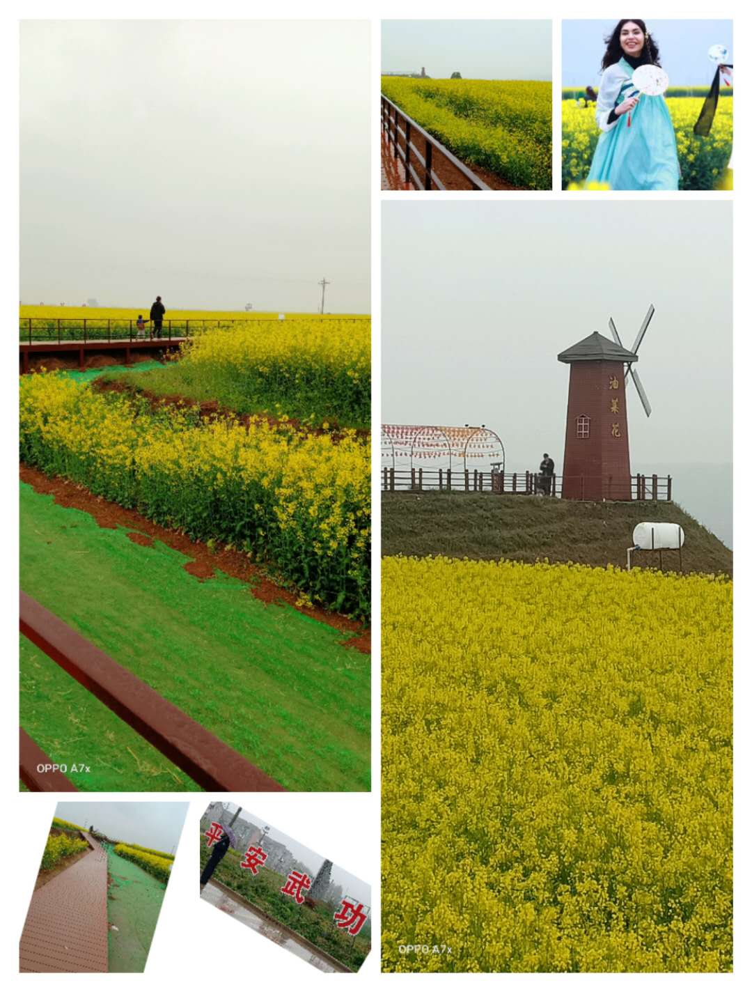 姜嫄古镇.油菜花--武功欢迎您