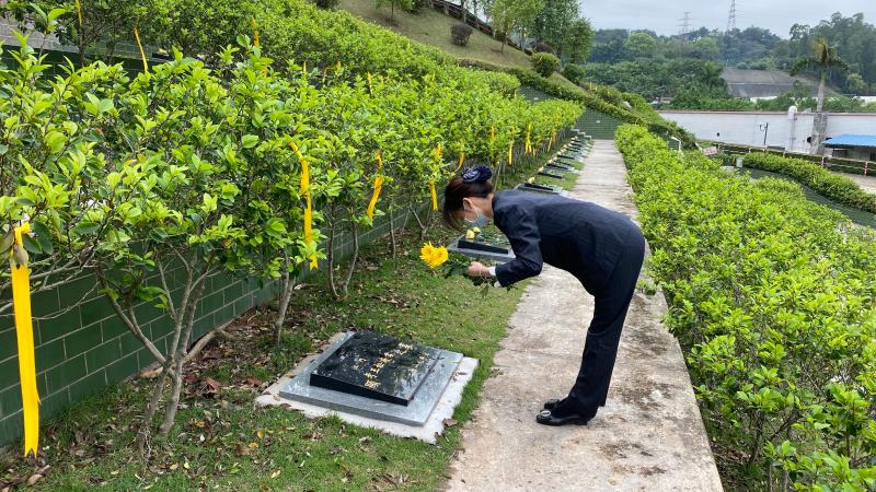 代替家属尽孝心,以最真诚的姿态完成每次鞠躬尽管今年清明期间祭扫