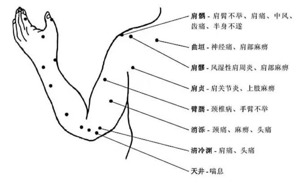 容齋分享超全人體穴位圖譜人體十四條經絡循行動圖